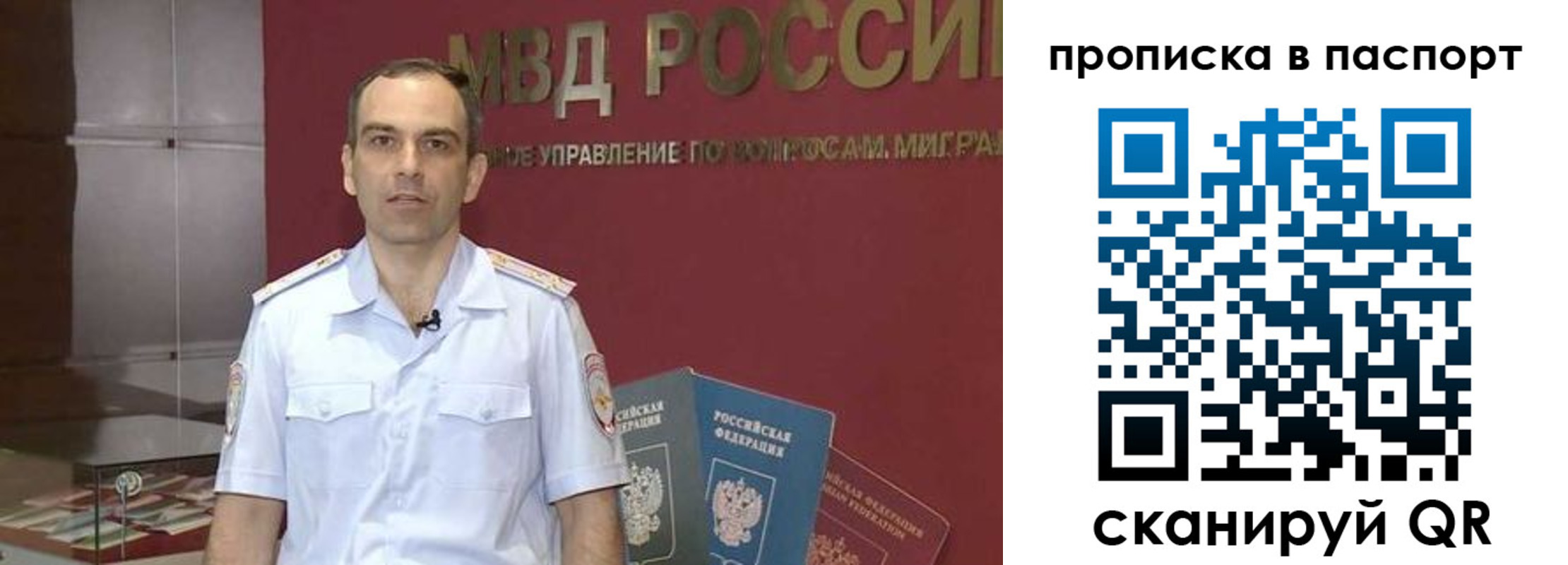 прописка поиск в Домодедово